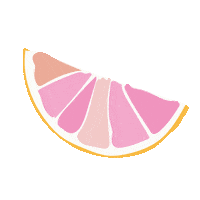 Summer Pomelo Sticker by Liligraffiti