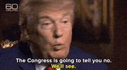 donald trump GIF