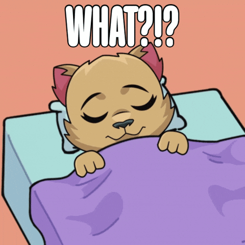 Where Am I What GIF by Kabu