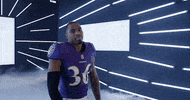 Dance Reaction GIF by Baltimore Ravens