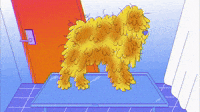 Hairy dog