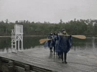 dog years GIF by Maggie Rogers