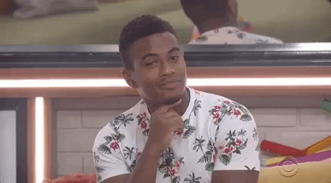 Big Brother David GIF