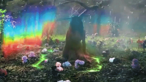 young_hollywood giphygifmaker GIF