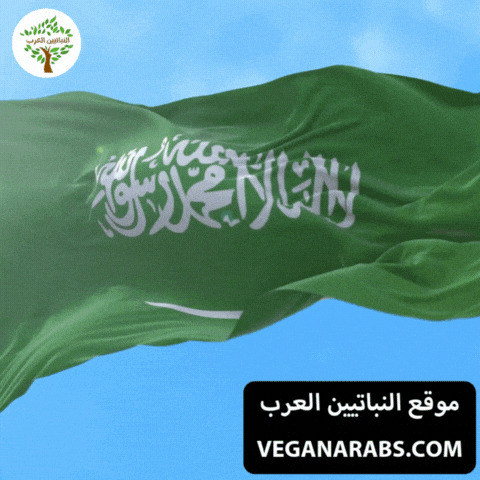 Saudi National Day GIF by VeganArabs