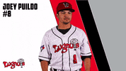 minor league baseball GIF by Lansing Lugnuts