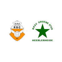 Sport Heerlen Sticker by Groene ster