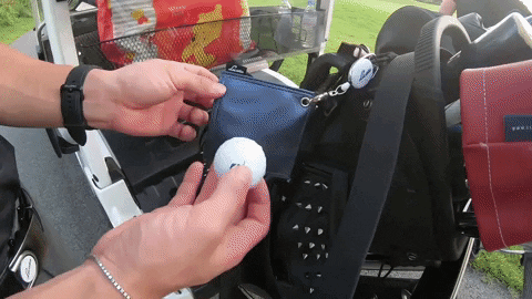 majorworld giphygifmaker GIF