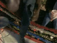 season 3 GIF