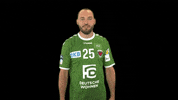 LIQUIMOLY_HBL party strong handball berlin GIF