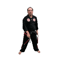 Karate Taekwondo Sticker by Team GMA