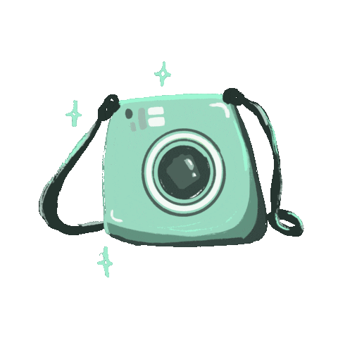 Camera Sticker
