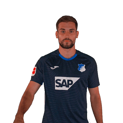 Sport Bundesliga Sticker by TSG Hoffenheim