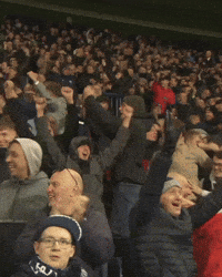 West Brom Fans GIF by West Bromwich Albion