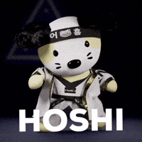 Tiger 세븐틴 GIF