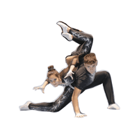 Fgi Sticker by Federazione Ginnastica d'Italia