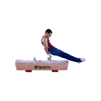 Fgi Sticker by Federazione Ginnastica d'Italia