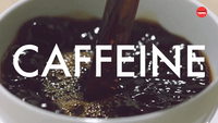 CAFFEINE 
