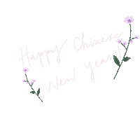 Chinese New Year Flower Sticker by Anticlockwise