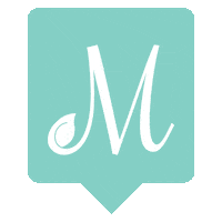 Influencer Aqua Sticker by The Mint Julep Boutique