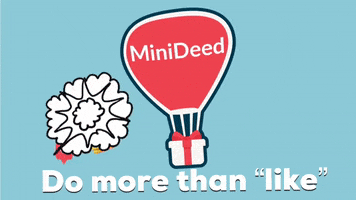 minideed instagram like facebook twitter GIF