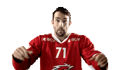 Lhc Lausannehc Sticker by Lausanne Hockey Club
