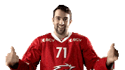 Lhc Lausannehc Sticker by Lausanne Hockey Club