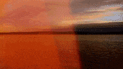 Water Rely GIF
