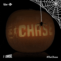 The Chase GIF by PotatoITV