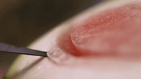watermelon carving GIF by Super Deluxe