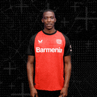 Lets Go Bundesliga GIF by Bayer 04 Leverkusen