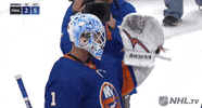 Ice Hockey Hug GIF by NHL