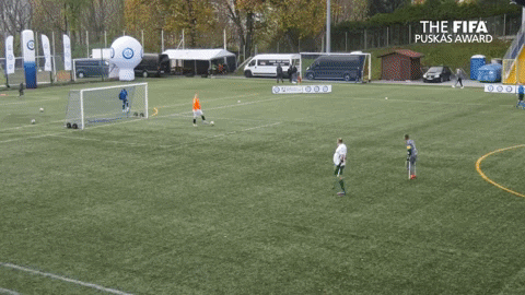 qwerpoiu22ppop giphyupload GIF