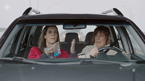 Baroness Von Sketch Show Cbc GIF