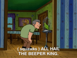 hey arnold nicksplat GIF