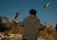 Ditto GIF by Aries