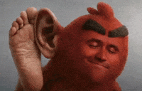 Shah3n00 kirk hearing angry bird GIF