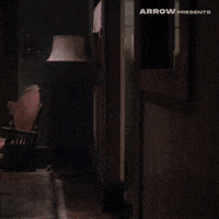 Brian De Palma Film GIF by Arrow Video