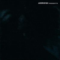 Film Horror GIF by Arrow Video