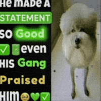 Women91928 he made a statement he made a statement so good he made a statement so good even his gang praised him he made a statement so good even his gang GIF