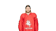 Happy Hockey Sticker by ledoritulys.lt
