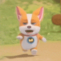 mocoaifay dance dog song corgi GIF