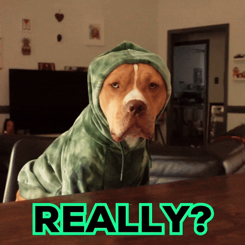 What Ok GIF