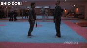 martial arts mma GIF by AKBAN Academy