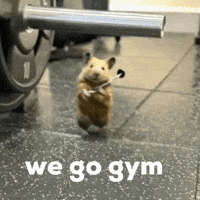 Work Out GIF