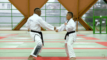 karatecombat sports sport mma punch GIF