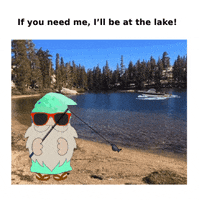 Summer Sunglasses GIF