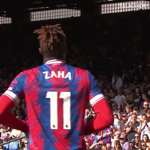 Sorry Oh No GIF by Crystal Palace Football Club