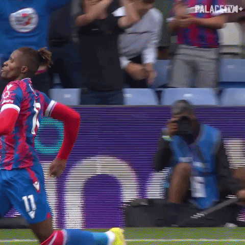 Come On Yes GIF by Crystal Palace Football Club