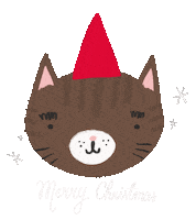 dorotaduzinkiewicz cat christmas illustration fox Sticker